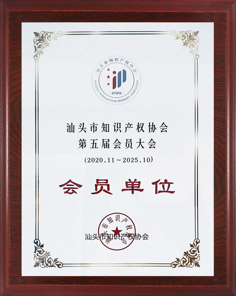 汕头市知识产权协会.jpg