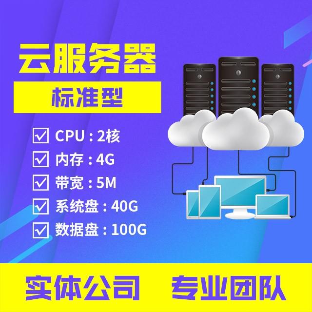 云服务器：标准型